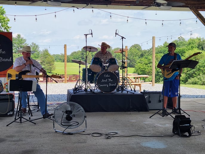 Gallery photo 1 of Odie And The Country Band