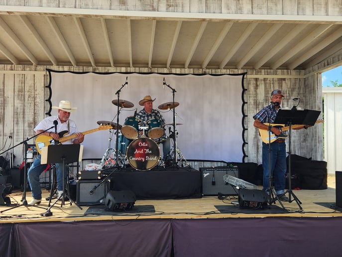 Gallery photo 13 of Odie And The Country Band