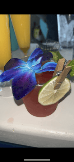 Gallery photo 6 of Official Drinking Partners