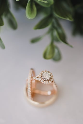 Gallery photo 8 of Haleigh Nicole Photography
