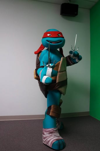 Gallery photo 3 of Ohio Turtle Fan
