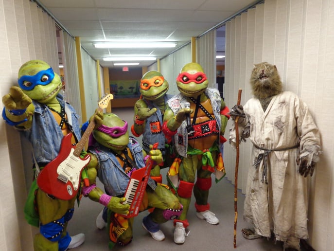 Gallery photo 13 of Ohio Turtle Fan