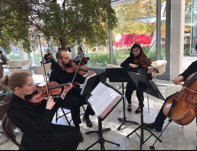 Gallery photo 7 of OKC String Quartet