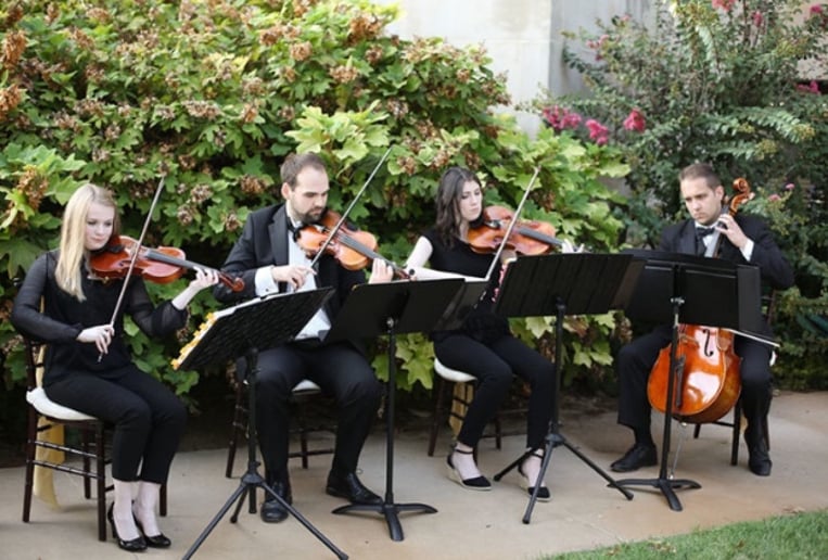 Gallery photo 8 of OKC String Quartet
