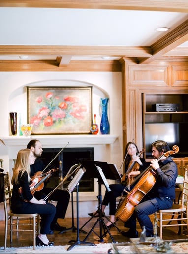 Gallery photo 1 of OKC String Quartet