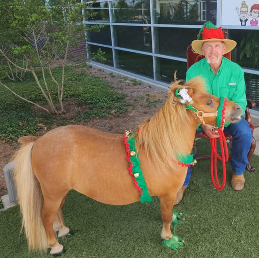 Gallery photo 4 of Pixie Ponies