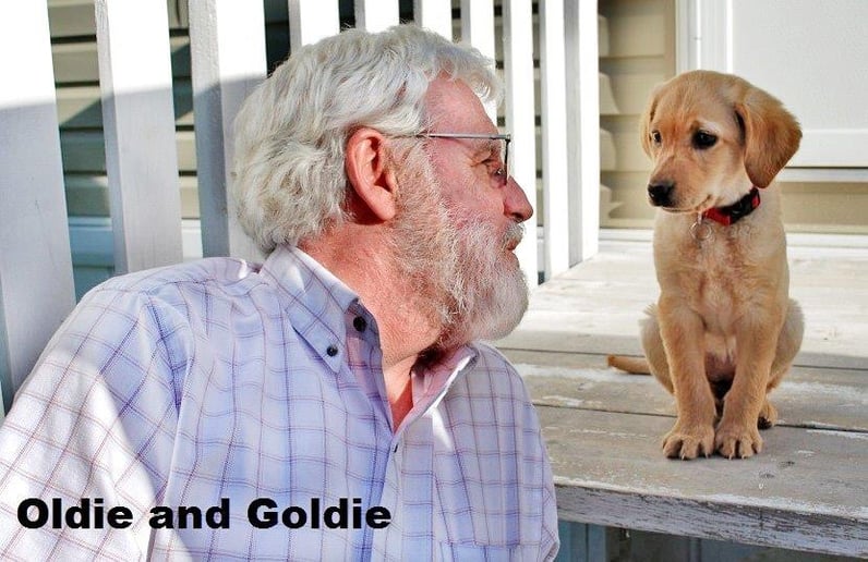 Gallery photo 2 of Oldies but Goldies