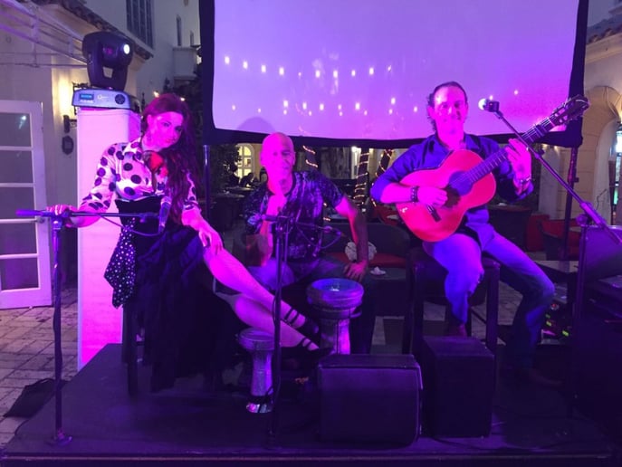 Gallery photo 6 of Ole-Ole Rumba Flamenca