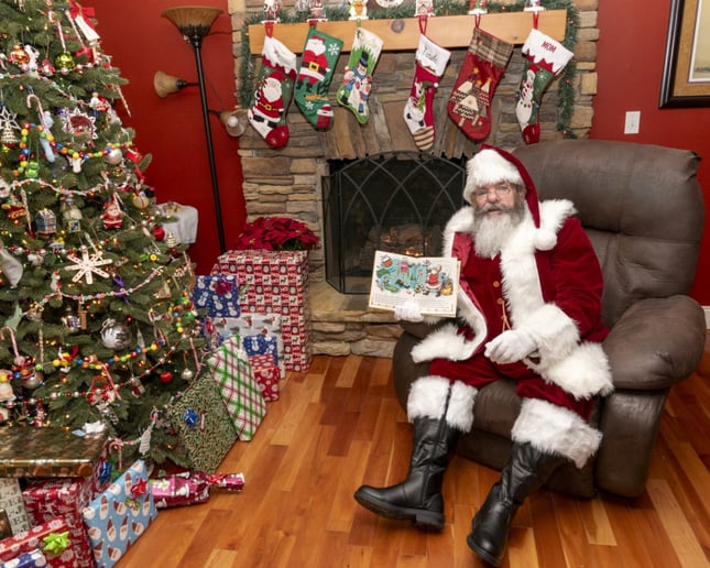 Gallery photo 5 of Ole Frog - A Jolly Old Elf