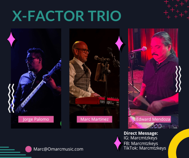 Gallery photo 7 of X-Factor Band