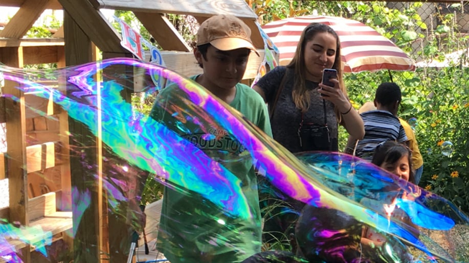 Gallery photo 33 of OMG Bubbles