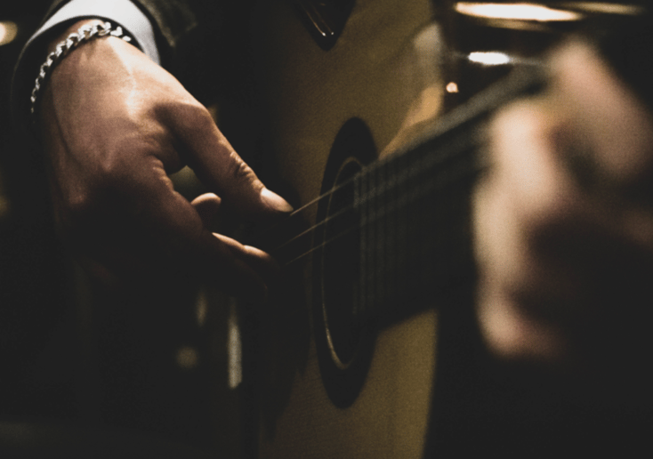 Gallery photo 3 of Guitarist | One Man Band