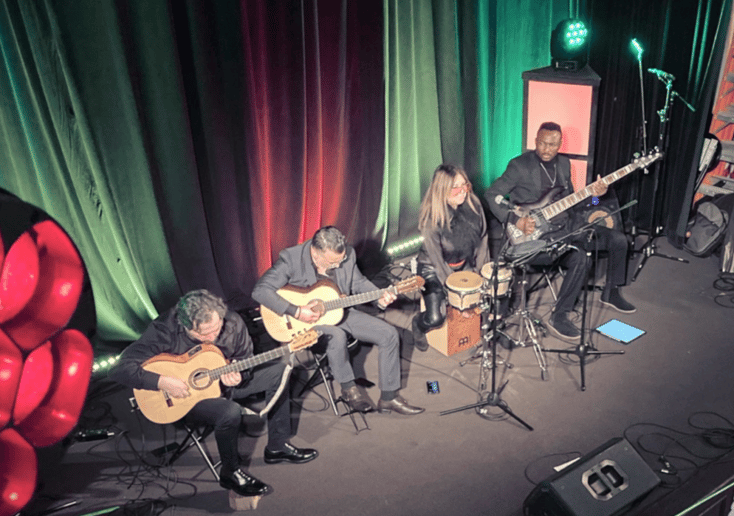 Gallery photo 5 of Guitarist | One Man Band