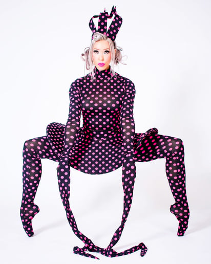 Gallery photo 8 of One of a kind Pyramid apparatus and Honeycomb apparatus