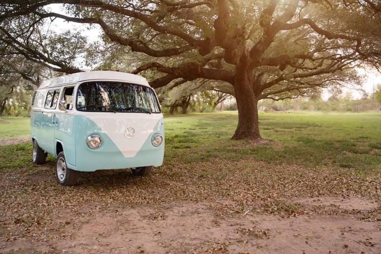 Gallery photo 3 of Ooby Dooby Bus