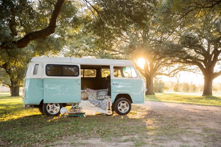 Gallery photo 6 of Ooby Dooby Bus