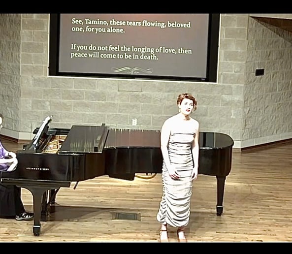 Gallery photo 3 of Opera, Musical Theater, and Classical