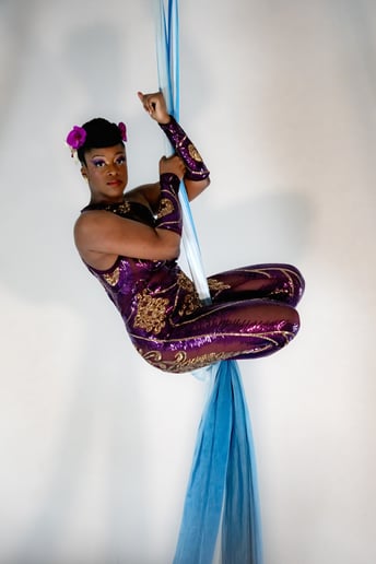 Gallery photo 1 of Orchid