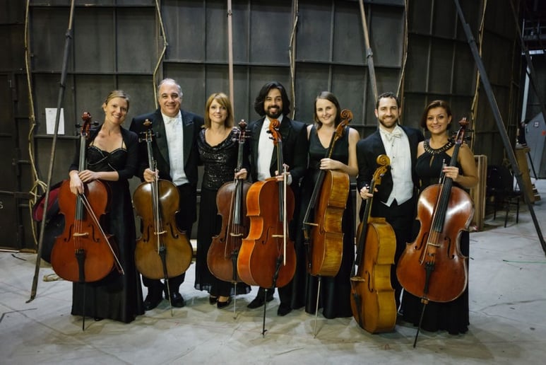Gallery photo 2 of Oregon Cellist