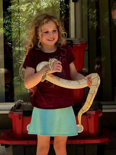 Gallery photo 4 of Oregon Reptile Views