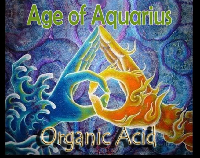 Gallery photo 5 of Organic Acid