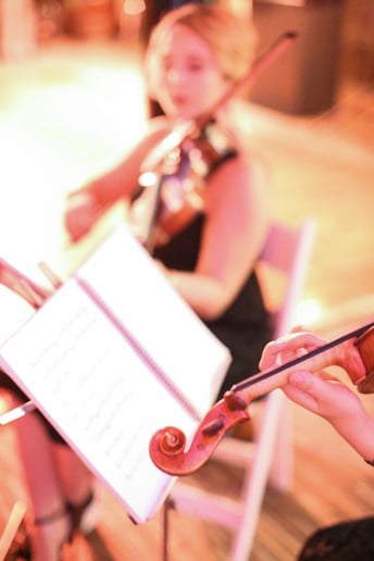 Gallery photo 16 of Organic String Quartet