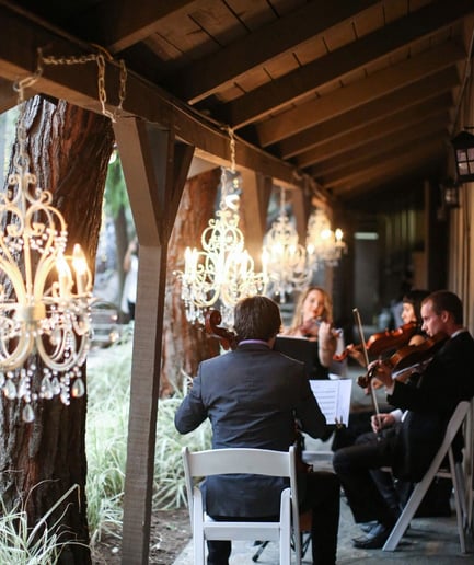 Gallery photo 21 of Organic String Quartet