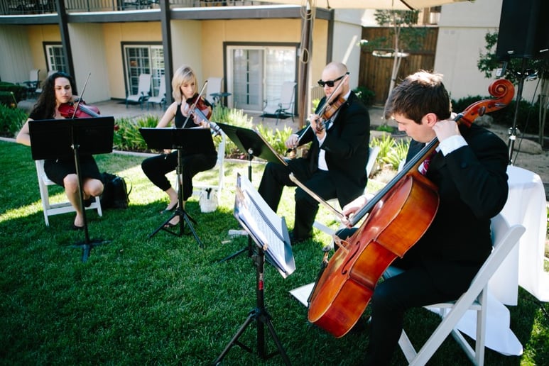 Gallery photo 22 of Organic String Quartet