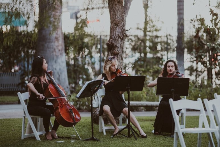 Gallery photo 23 of Organic String Quartet
