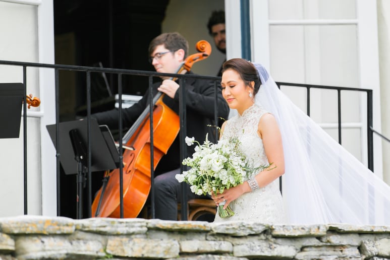 Gallery photo 13 of Organic String Quartet