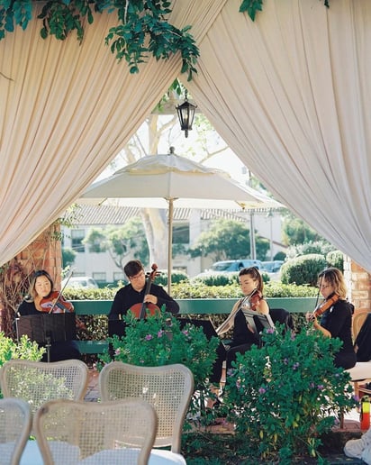 Gallery photo 1 of Organic String Quartet