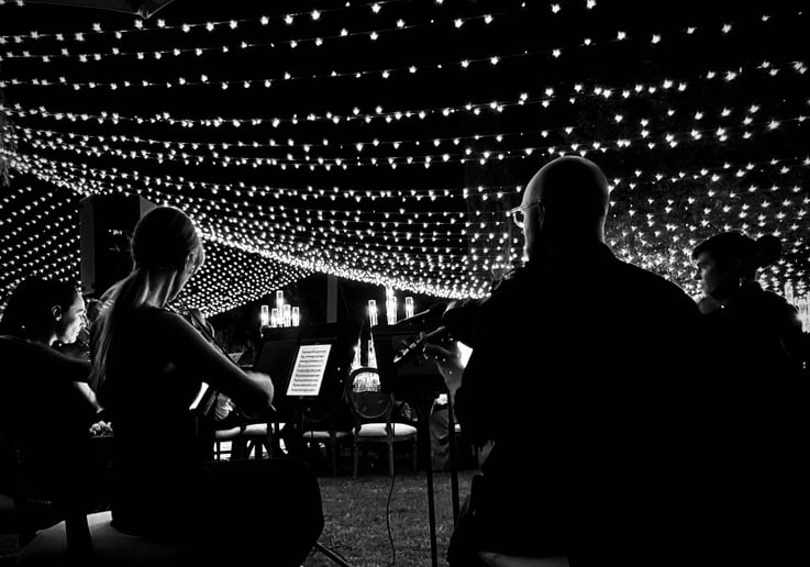 Gallery photo 14 of Organic String Quartet