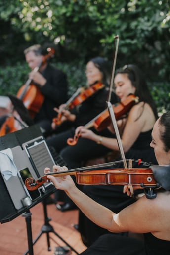 Gallery photo 2 of Organic String Quartet