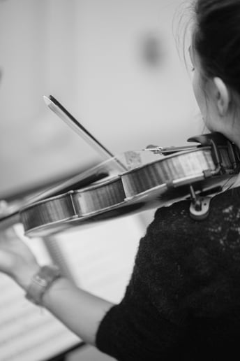 Gallery photo 18 of Organic String Quartet