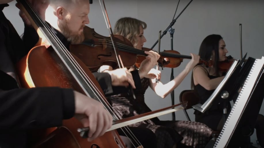 Gallery photo 19 of Organic String Quartet