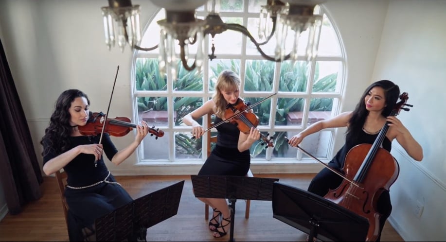 Gallery photo 17 of Organic String Quartet