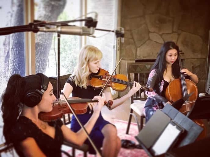 Gallery photo 15 of Organic String Quartet