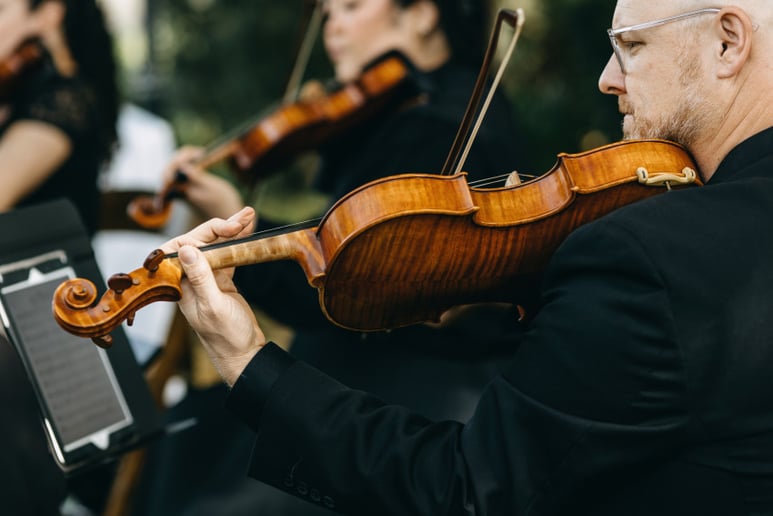 Gallery photo 20 of Organic String Quartet