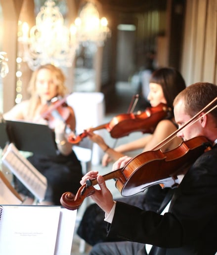 Gallery photo 24 of Organic String Quartet