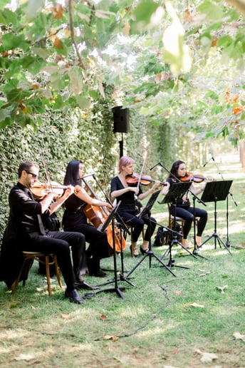 Gallery photo 25 of Organic String Quartet