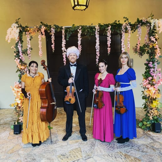 Gallery photo 10 of Organic String Quartet