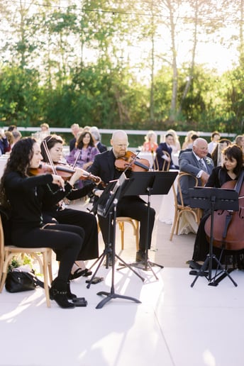 Gallery photo 27 of Organic String Quartet