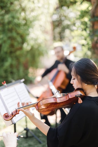 Gallery photo 28 of Organic String Quartet