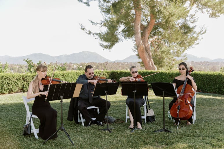 Gallery photo 29 of Organic String Quartet