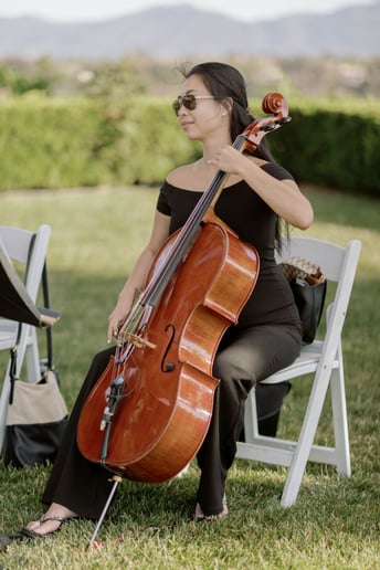 Gallery photo 30 of Organic String Quartet
