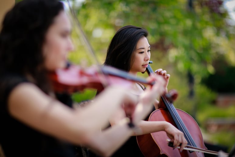 Gallery photo 33 of Organic String Quartet
