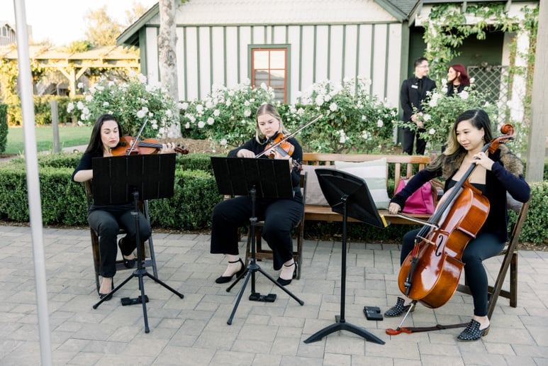 Gallery photo 34 of Organic String Quartet