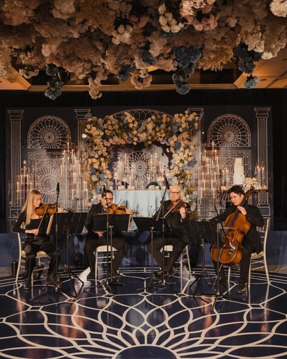 Gallery photo 35 of Organic String Quartet