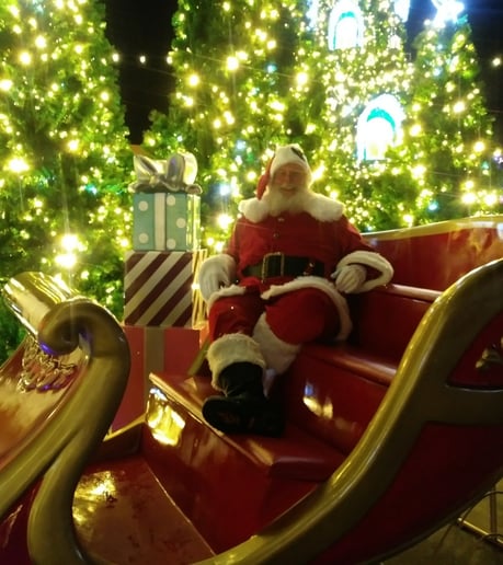 Gallery photo 3 of Orlando Santa Pete