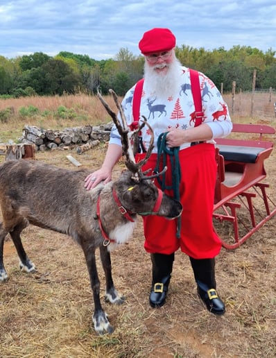 Gallery photo 8 of Orlando Santa Pete
